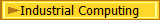 Industrial Computing